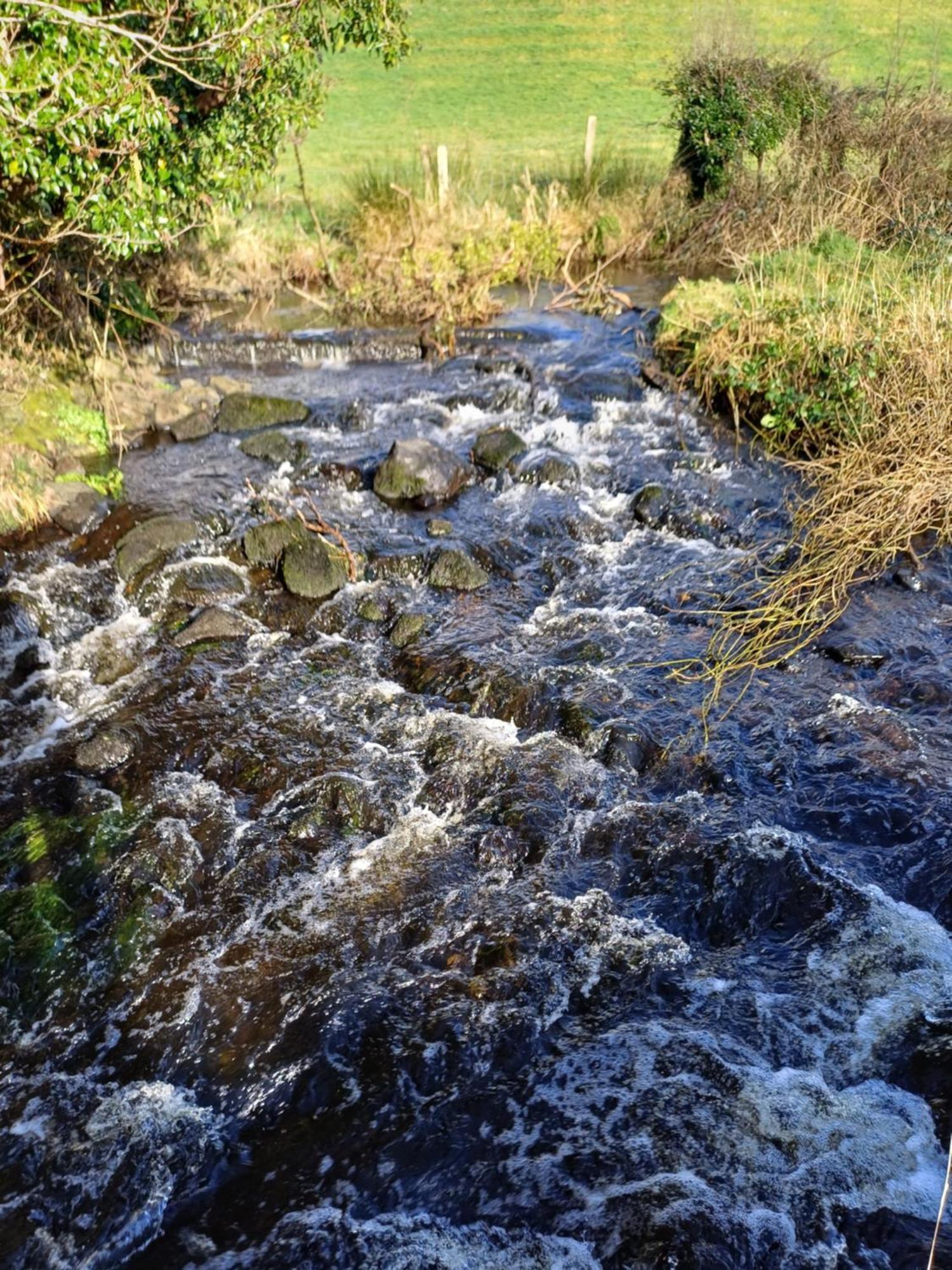 Little River Glamping Ballymoney Esterno foto