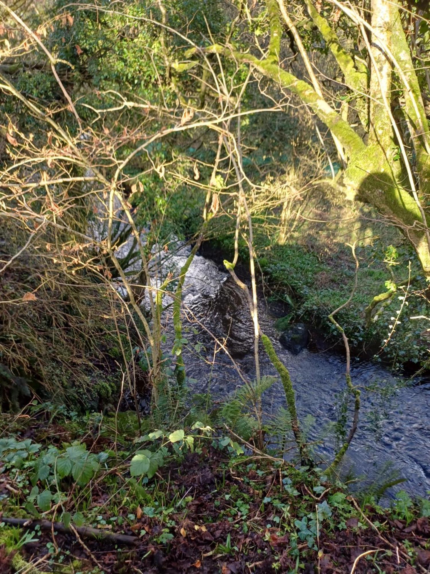 Little River Glamping Ballymoney Esterno foto