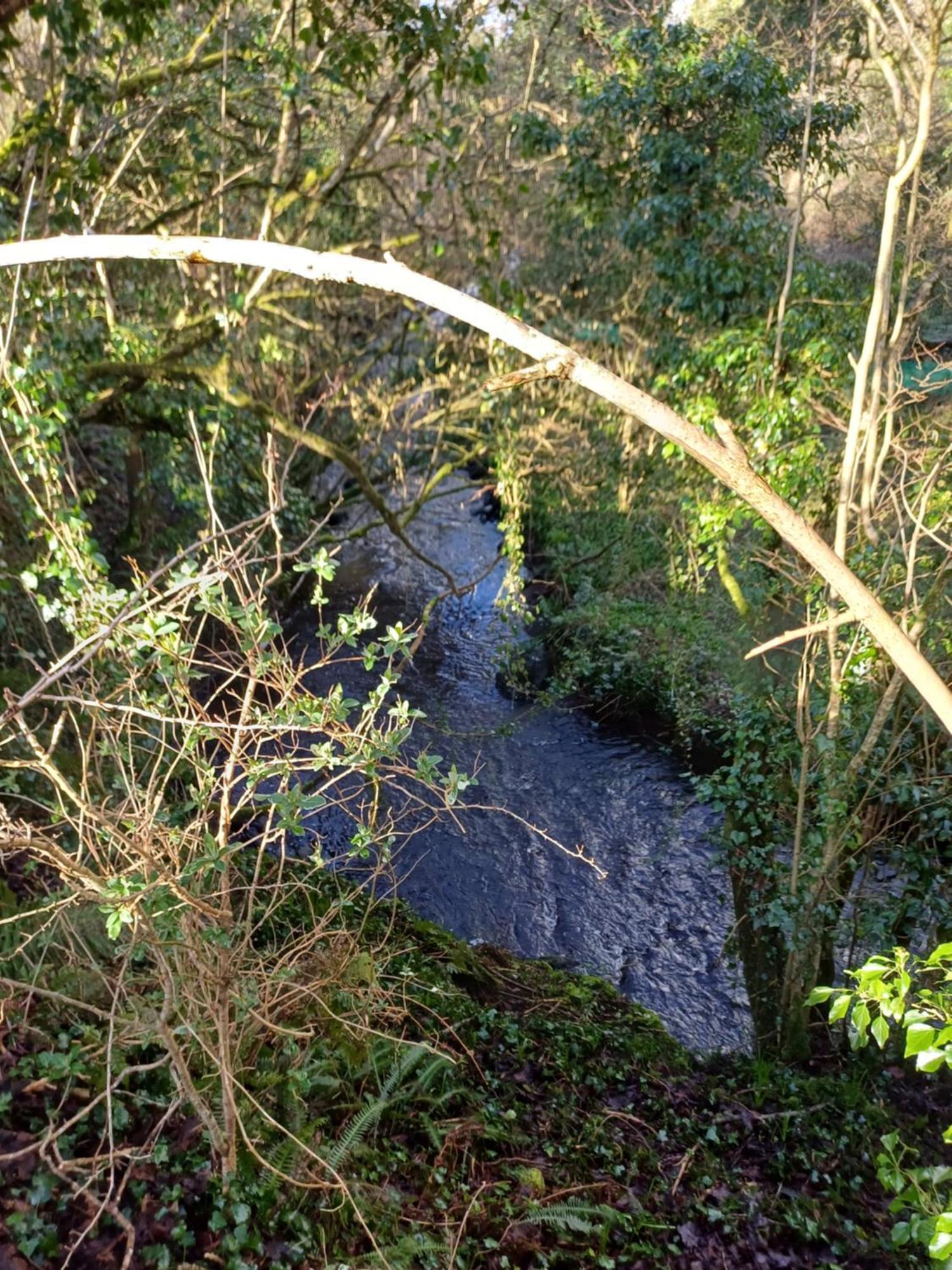 Little River Glamping Ballymoney Esterno foto