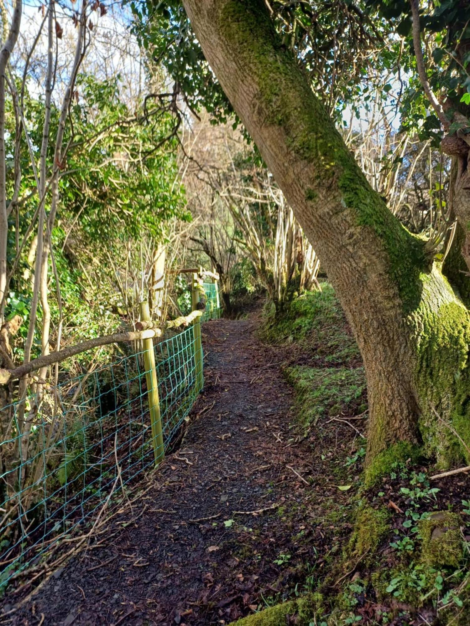 Little River Glamping Ballymoney Esterno foto